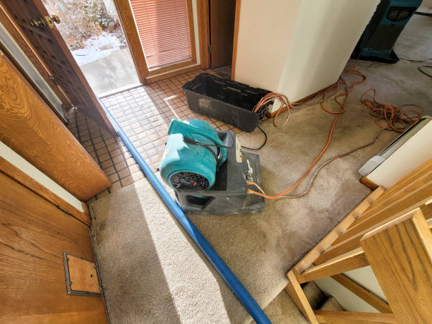 Best Local water damage restoration  in Palm Desert, CA