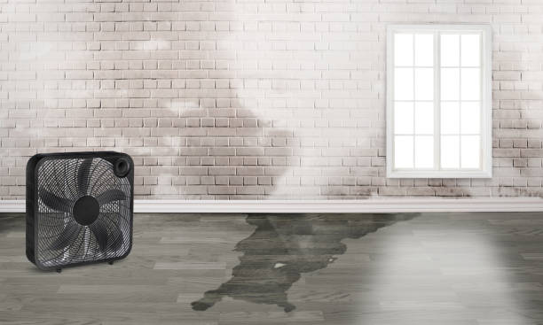Water damage restoration insurance claims in Palm Desert, CA