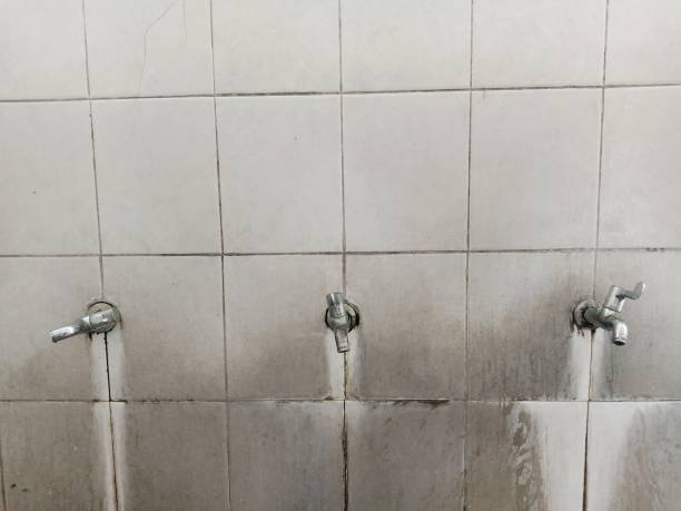 Best Carpet water damage restoration  in Palm Desert, CA