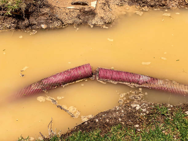Professional Water damage restoration in Palm Desert, CA