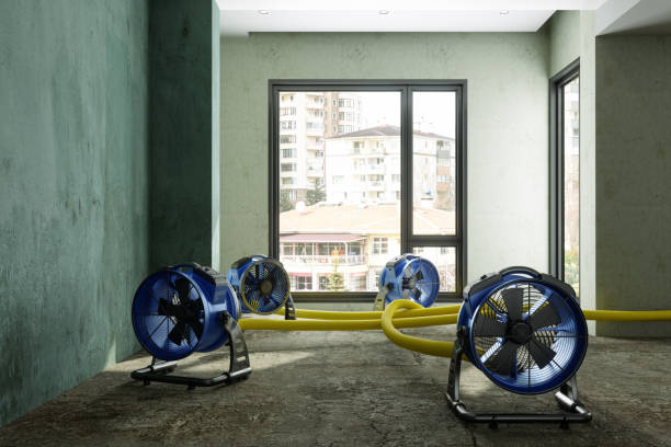Best 24/7 water damage repair  in Palm Desert, CA